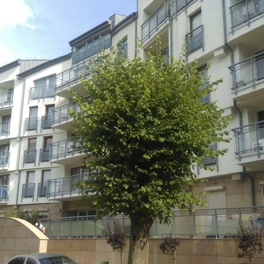 Apartament Flauta, Villa Marea Мендзиздроє Екстер'єр фото